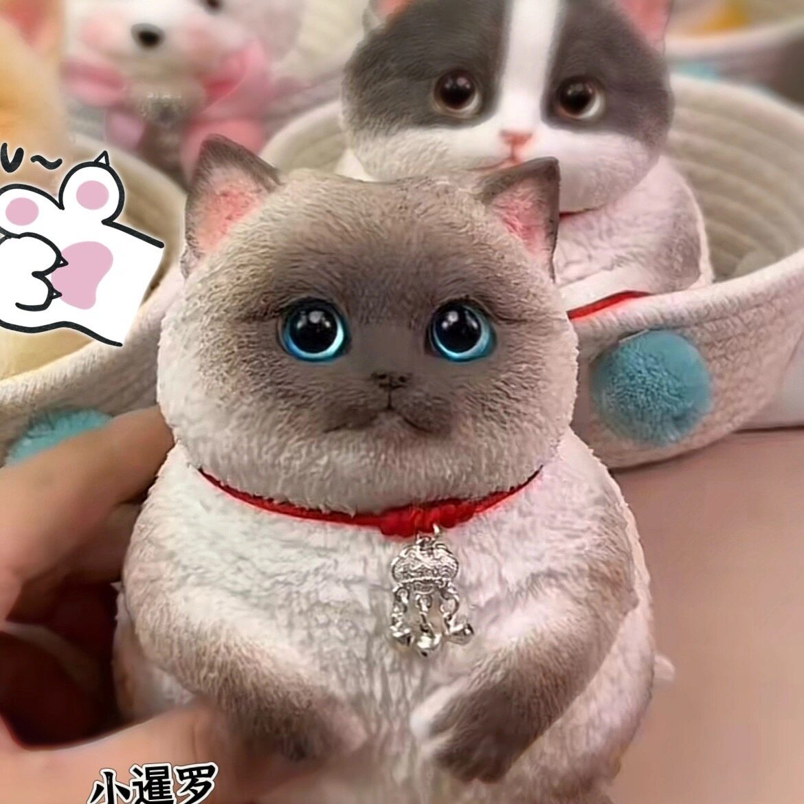 【Hoshi Case】リアルな猫のスクイーズ